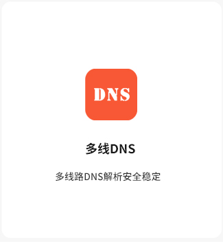 多线DNS